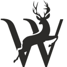 Southpaw Boxing Logo