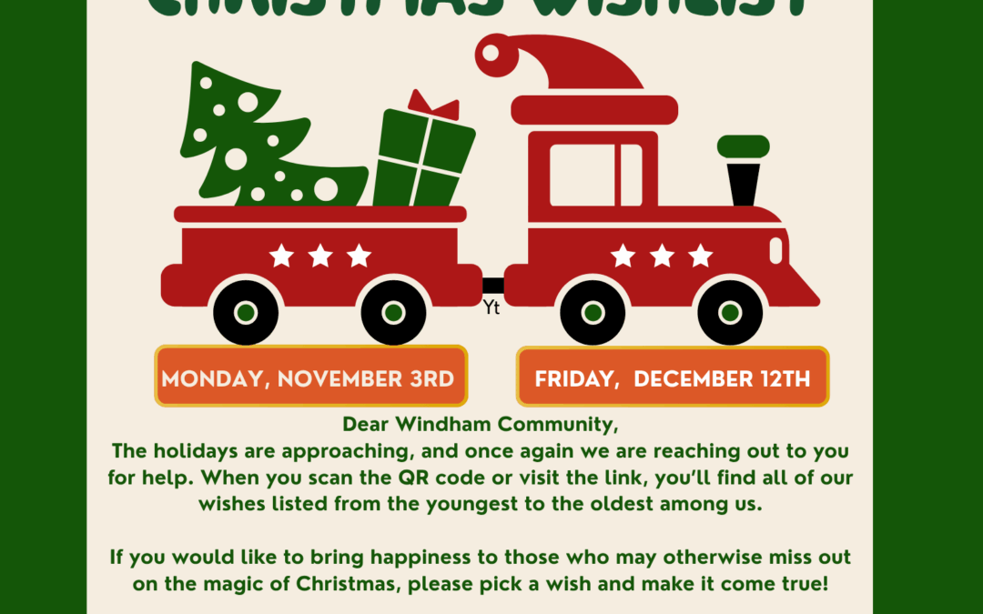 CHRISTMAS WISHLIST 2025